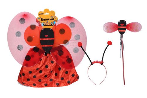 Set karneval Lienka 45x33cm