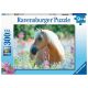 Ravensburger puzzle XXL Ló 300 db