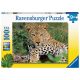 Ravensburger puzzle XXL Leopárd 100 db