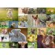 Ravensburger puzzle XXL Kollázs bébi állatokról 200 db