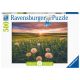 Ravensburger puzzle Pitypang naplementekor 500 db