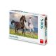 Dino puzzle lovak 500 db