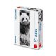 Dino puzzle Panda a fűben 1000 db