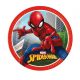 Taniere Spiderman 23cm 8ks