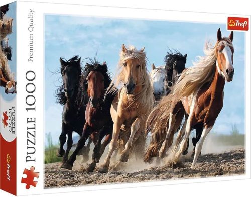 Trefl Puzzle 1000 Galloping kone