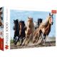 Trefl Puzzle 1000 Galloping kone