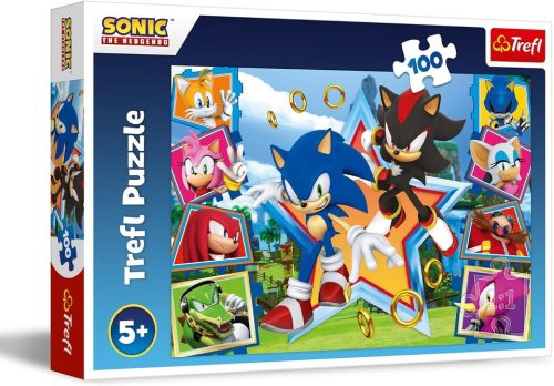 Puzzle Zoznámte sa so Sonicom SEGA Sonic The Headgehog 100 dielikov