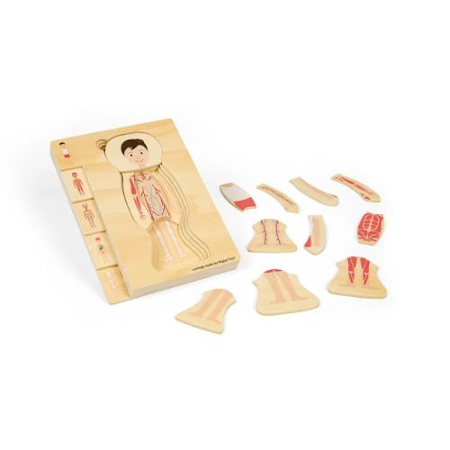 Bigjigs Toys Drevené puzzle Anatómia chlapec