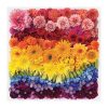 Galison Puzzle Szivárvány virágok 500 db