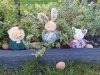 22779_altpic_5.jpeg