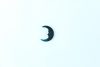 25058_altpic_1.jpeg