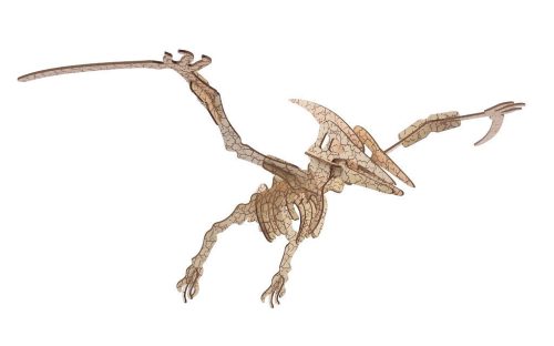 Woodcraft Drevené 3D puzzle Pterosaur