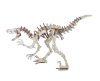 Woodcraft Drevené 3D puzzle Peinonychus