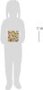 14235_altpic_1.jpeg