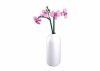 Sluban építőkészlet Flowers M38-B1101-12 Orchidea vázában 253 db