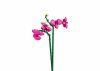 Sluban építőkészlet Flowers M38-B1101-12 Orchidea vázában 253 db