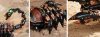 24341_altpic_4.jpeg