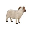 17947_altpic_1.jpeg