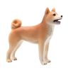 Mojo Pes shiba inu