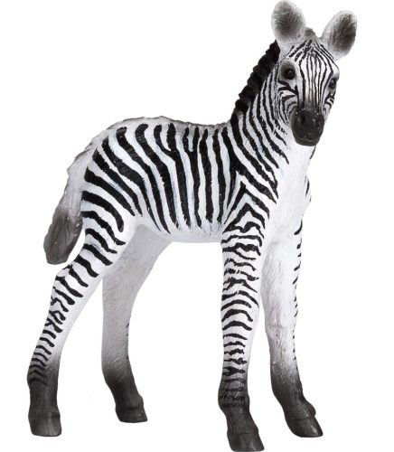 Mojo Zebra mláďa