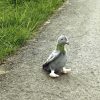 20296_altpic_1.jpeg