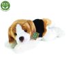 Rappa plüss Beagle kutya fekvő 30cm ECO-FRIENDLY