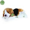 Rappa plüss Beagle kutya fekvő 30cm ECO-FRIENDLY