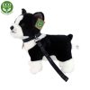 Rappa plüss francia bulldog kutya pórázzal 23cm ECO-FRIENDLY