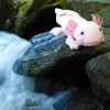 Rappa Plyšový axolotl 33 cm ECO-FRIENDLY