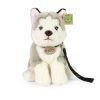 Rappa plüss husky kutya pórázzal 28cm ECO-FRIENDLY