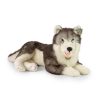 Rappa plüss husky kutya fekvő 60cm ECO-FRIENDLY