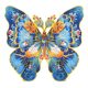 RoboTime DrevenÃ© puzzle motÃ½Ä¾ Morpho Helena